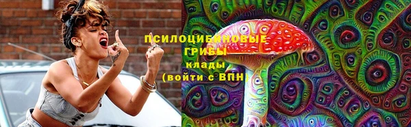 соль ск Нефтекумск