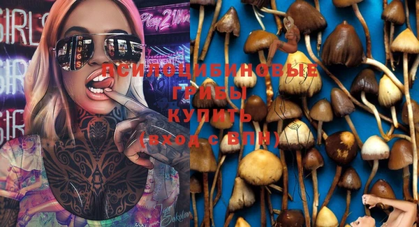 соль ск Нефтекумск