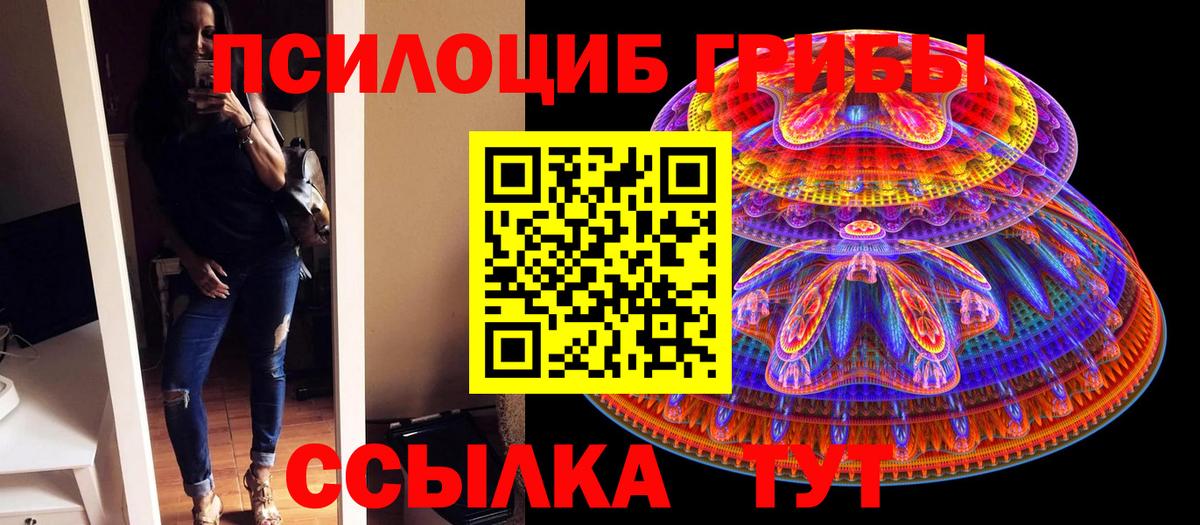 Псилоцибиновые грибы Psilocybe Смоленск